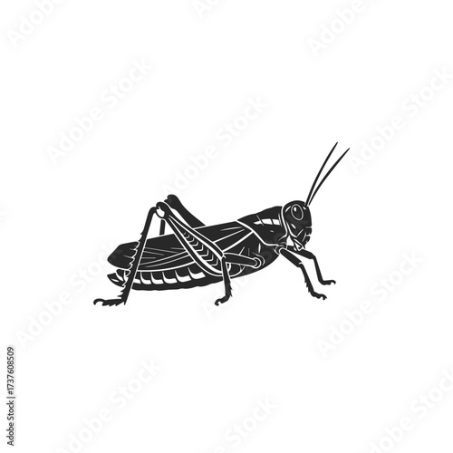 Black Silhouette of a Grasshopper Insect 1.
