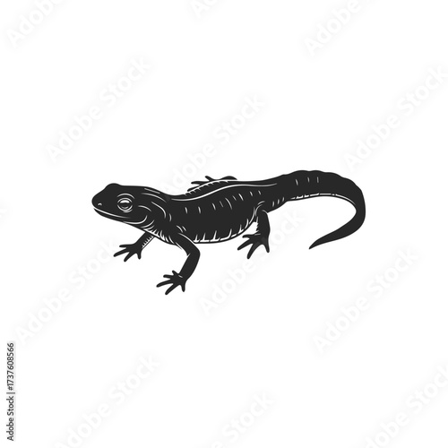 Black Silhouette of a Lizard on White Background.