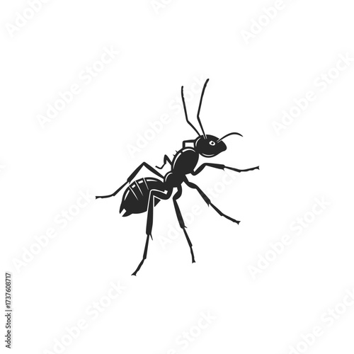 Black Silhouette of an Ant.