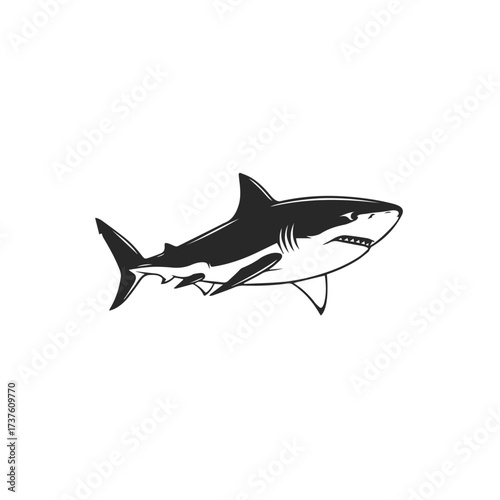 Fierce Great White Shark Illustration 1.