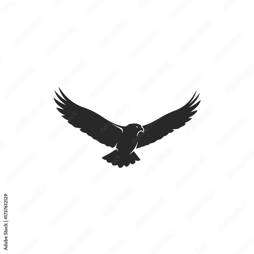 Obraz premium Silhouette of an eagle in flight wings spread wide.
