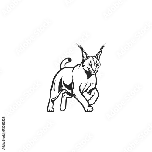 Stylized Black and White Caracal Illustration.