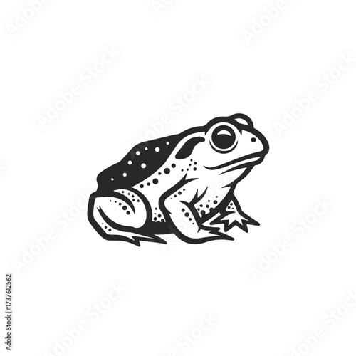 Stylized Black and White Frog Illustration 2.
