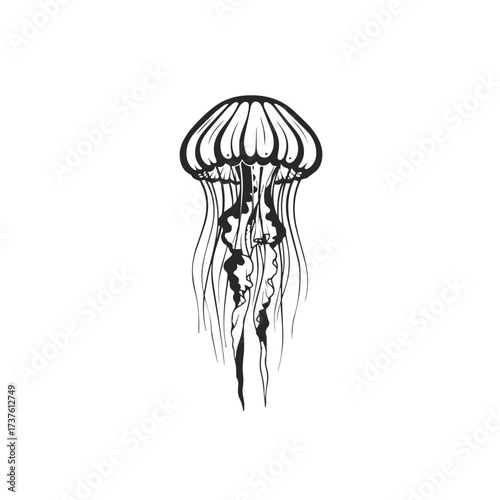 Stylized Black and White Jellyfish Illustration.