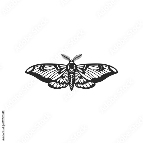 Stylized Black Moth Silhouette with Intricate Wing Patterns