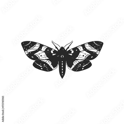 Stylized Black Moth Silhouette with Intricate Wing Patterns