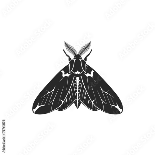 Stylized Black Moth Silhouette with Intricate Wing Patterns