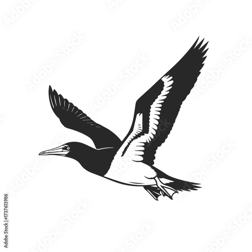Stylized Silhouette of a Bird in Flight