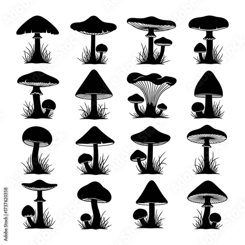 Collection of diverse mushroom silhouettes with grass accents for organic design elements vector