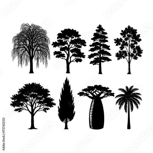 Diverse collection of eight distinct silhouetted trees in various shapes and sizes vector