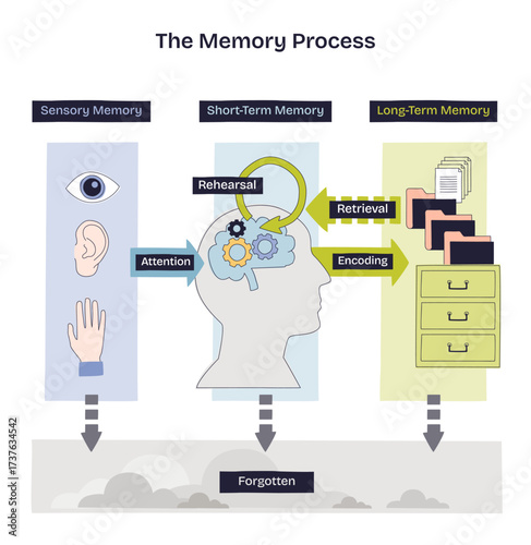 Memory process overview illustrates sensory input to short-term rehearsal and long-term storage, key objects, head silhouette, gears, file cabinet. Doodle style diagram