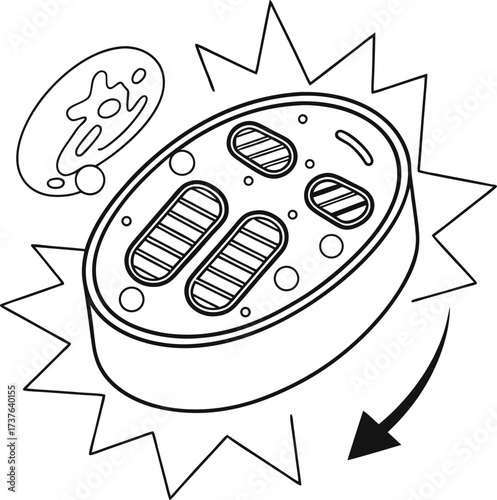 Dynamic illustration shows a mitochondrion with internal structures, representing cellular energy production and biological processes in a vibrant, engaging style.