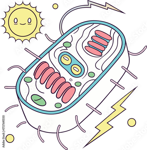Vibrant cartoon illustration of a chloroplast capturing sunlight energy for photosynthesis with lightning bolts and cheerful sun icon