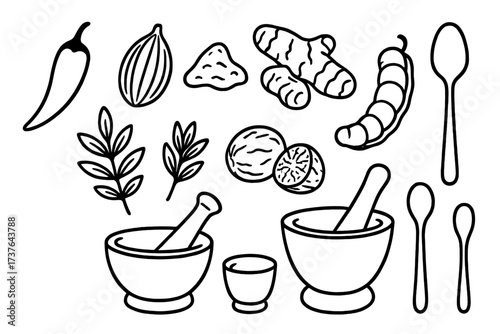 Hand drawn outline collection of aromatic culinary spices herbs and kitchen tools