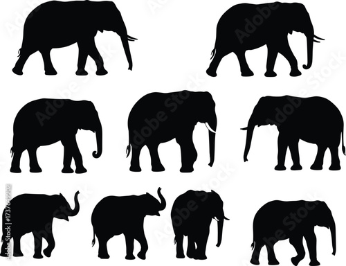 Silhouettes of elephants in various walking and standing poses, wildlife animal collection, large mammals with trunks, nature conservation symbol, vector illustration, safari concept art