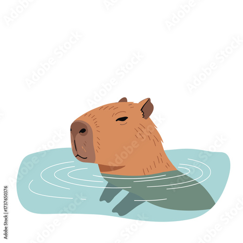 A happy capybara floats serenely in the refreshing blue water enjoying the warm weather.