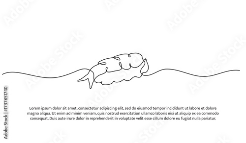 Continuous line design of shrimp. Single line decorative element drawn on white.