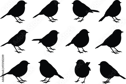 Set of small bird silhouettes in various standing positions, perched on ground, side view, nature concept, isolated vector illustration for wildlife, songbird design collection