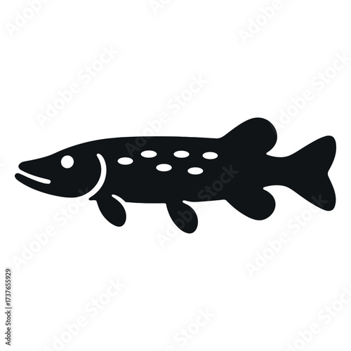 Silhouette of a northern pike: iconic fish with distinctive markings and elongated body