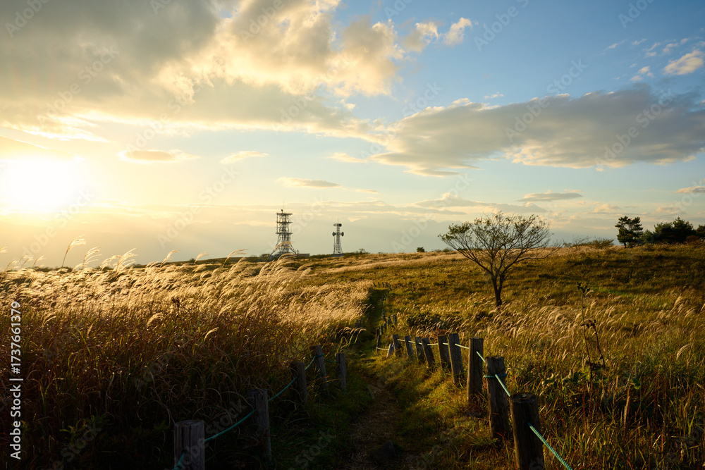 Obraz premium 高ボッチ高原の夕景