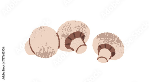 Icon of raw champignons. Edible mushrooms for cooking, eating. Fresh boletus, ripe fungus. Healthy food. Autumn forest harvest. Flat isolated hand drawn vector illustration on white background