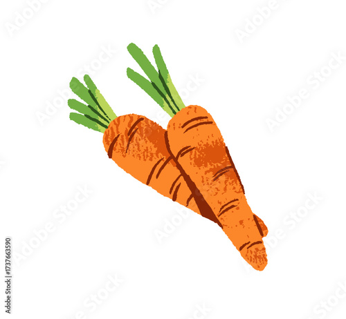 Icon of whole carrots with green tops. Orange root vegetables for eating, cooking, Healthy farm food. Farmer harvest, agriculture crop. Flat isolated hand drawn vector illustration on white background