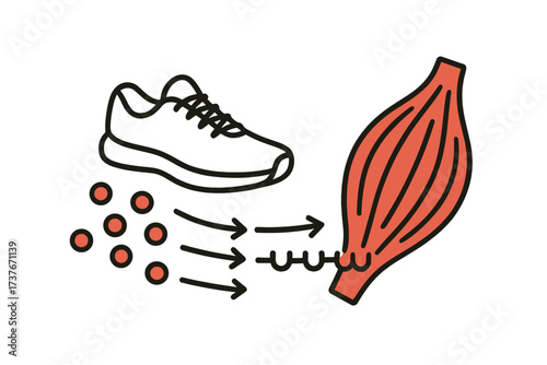 Energy flow from nutrients to muscle tissue during physical activity with a running shoe