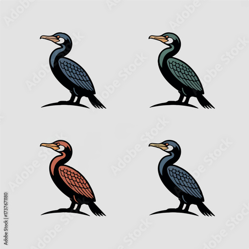 A beautiful  varieties  seabirds silhouette.