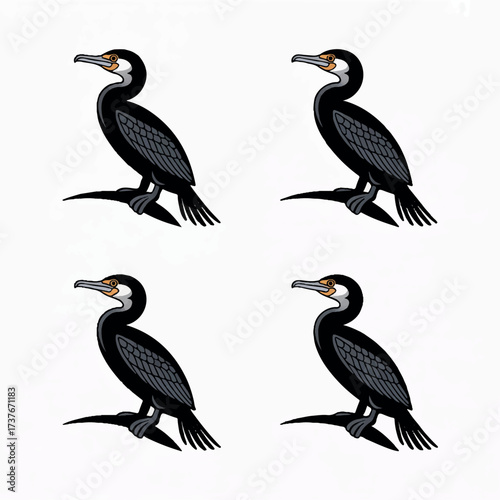 A beautiful  varieties  seabirds silhouette.