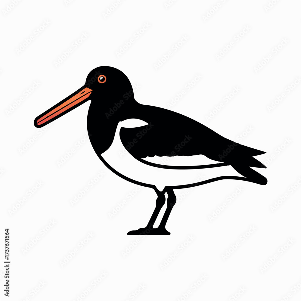 Fototapeta premium A beautiful varieties seabirds silhouette.