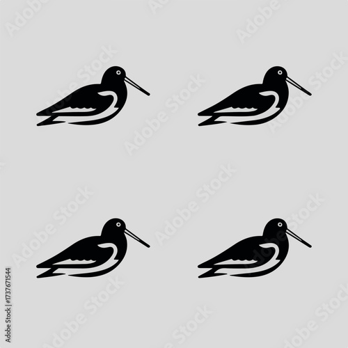 A beautiful  varieties  seabirds silhouette.