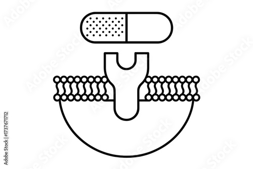 Molecular interaction of a medication capsule with a biological membrane receptor