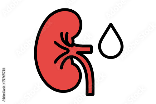 Red human kidney organ and a blood drop symbol for medical health concepts