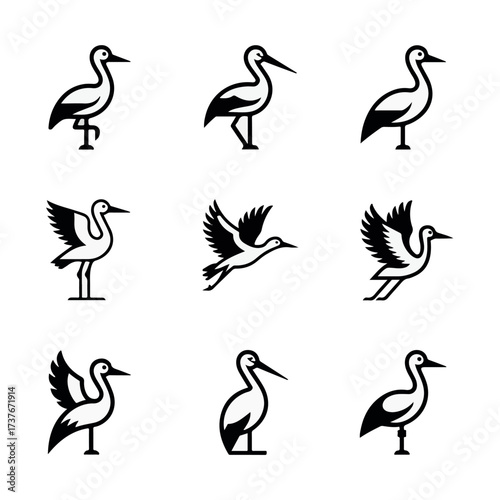 A beautiful  varieties  seabirds silhouette.