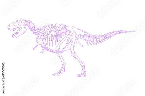Line Art Illustration of Tyrannosaurus Rex Skeleton
