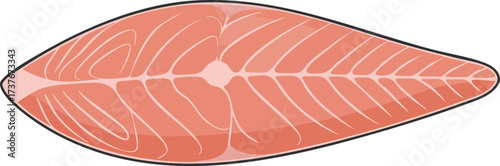 raw salmon steak