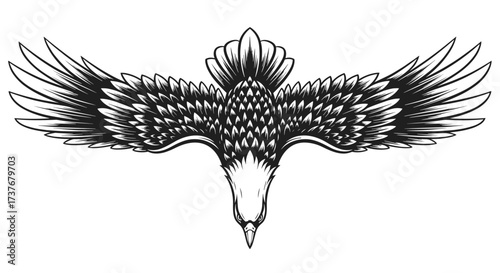 An eagle with its wings spread in flight overhead.