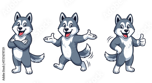 Three cartoon huskies in different poses. They are cute and friendly. One husky has its arms crossed. Another husky is jumping and excited. The third husky is giving a thumbs up.
