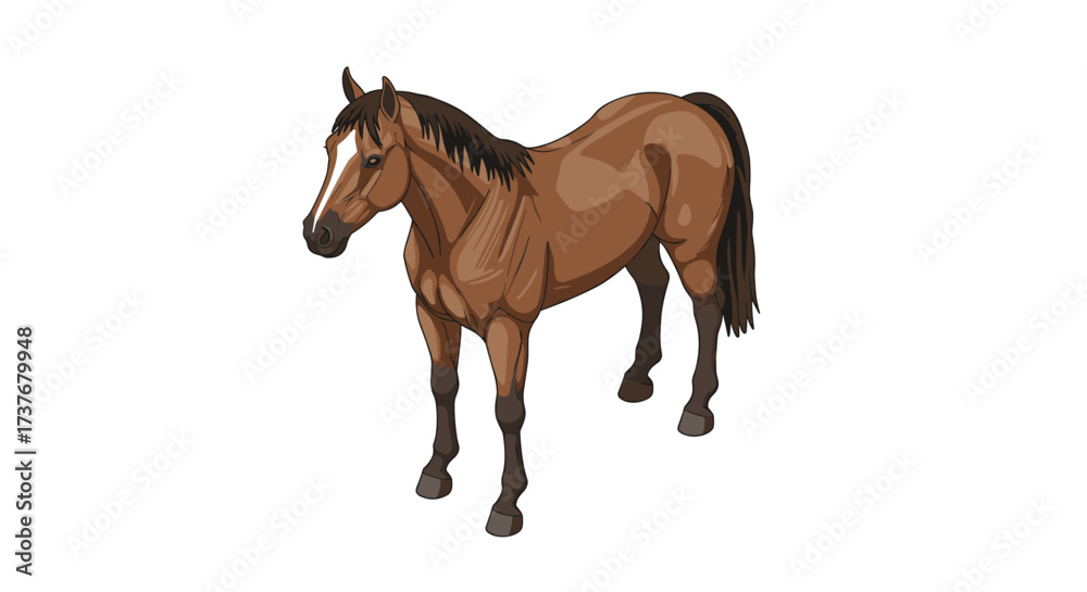 Obraz premium Realistic brown horse on white background: detailed colorful artwork of equine beauty