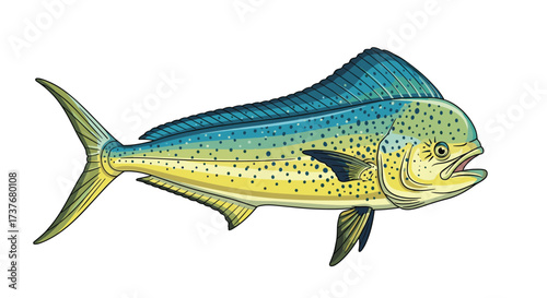 A vibrant depiction of a dolphin fish with its iridescent scales shimmering.