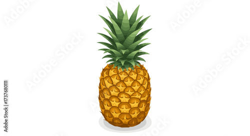 Realistic pineapple with lush green leaves isolated on white background