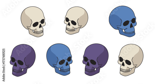 Colorful skulls in pop art style with vibrant pastel shades