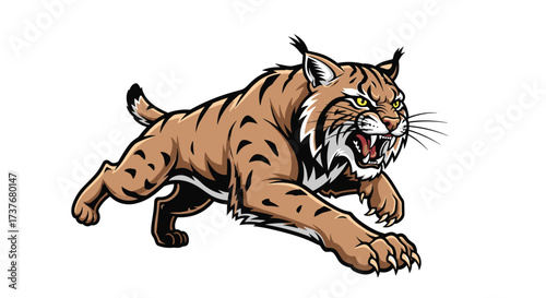 A fierce bobcat runs forward with its mouth open and teeth showing.