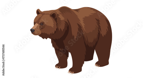 Majestic brown bear standing in profile with detailed fur on white background