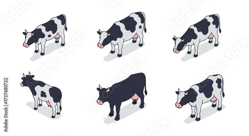 Isometric black and white cows in various poses on white background
