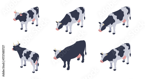 Isometric dairy cows set: multiple poses and angles