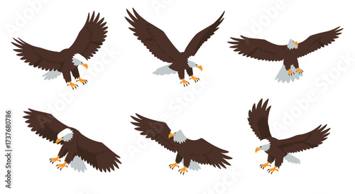 Eagle set: majestic birds in flight with outstretched wings