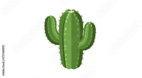 Realistic green cactus with spines on white background