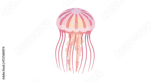 Elegant pink jellyfish concept in minimalist art style