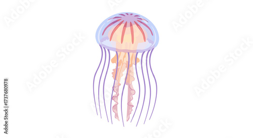 Colorful jellyfish with long tentacles in a modern flat design